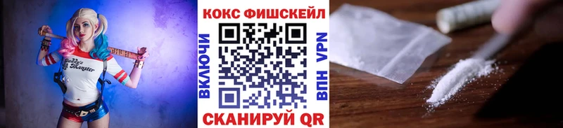 COCAIN Fish Scale  Купить где  Гороховец 