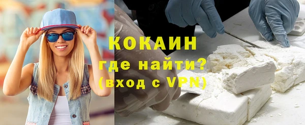 шишки Каменка