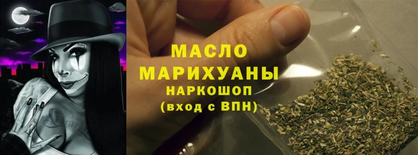 шишки Каменка