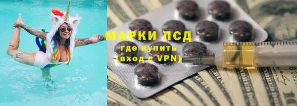 шишки Каменка