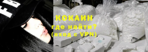 шишки Каменка