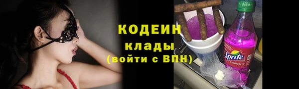 шишки Каменка