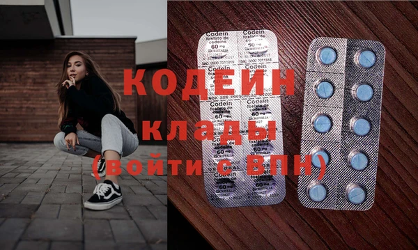 шишки Каменка