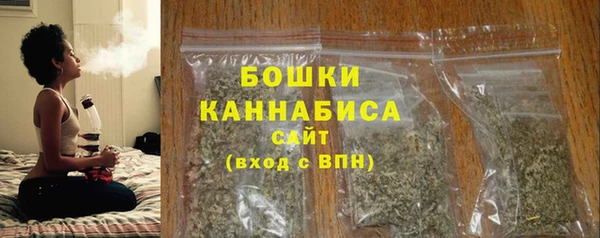 шишки Каменка