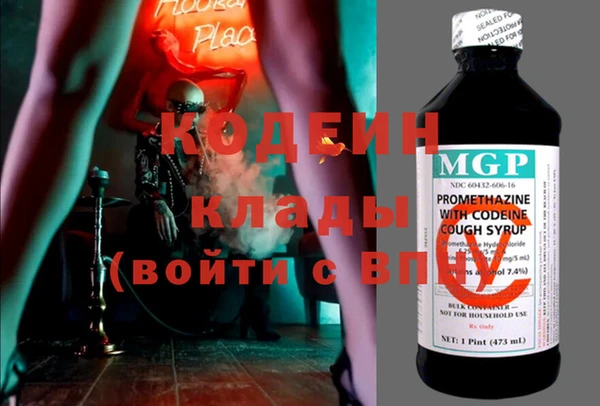 шишки Каменка