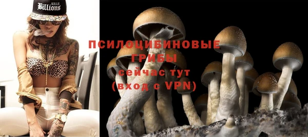 мдма Каменногорск