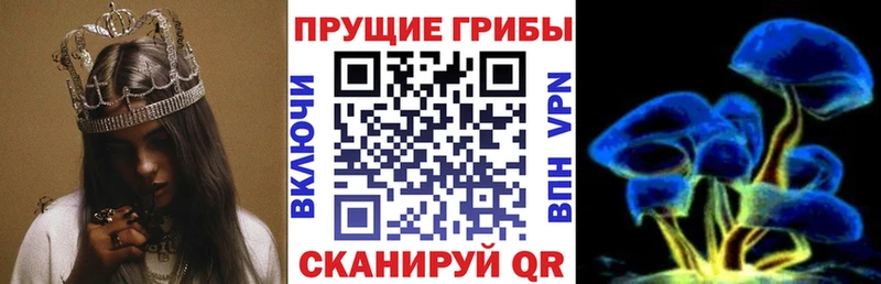 Псилоцибиновые грибы Psilocybine cubensis  Купить  Гороховец 